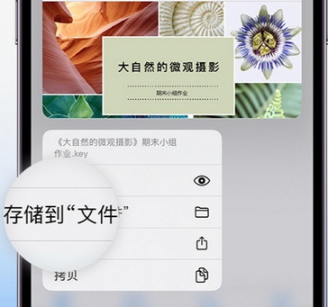 瑞丽apple维修中心分享iPhone文件应用中存储和找到下载文件