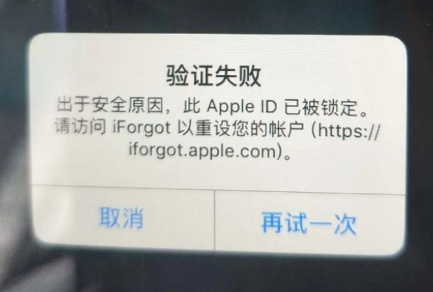 瑞丽iPhone维修分享iPhone上正常登录或使用AppleID怎么办 