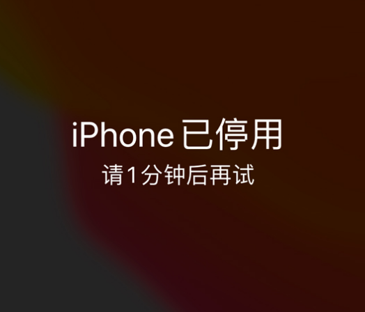 瑞丽苹果手机维修分享:iPhone 显示“不可用”或“已停用”怎么办？还能保留数据吗？ 