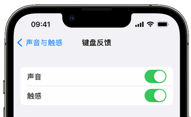 瑞丽苹果手机维修分享iPhone 14触感键盘使用方法 