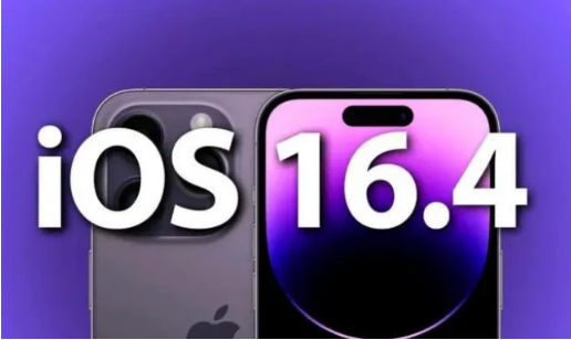 瑞丽苹果14维修分享：iPhone14可以升级iOS16.4beta2吗？ 