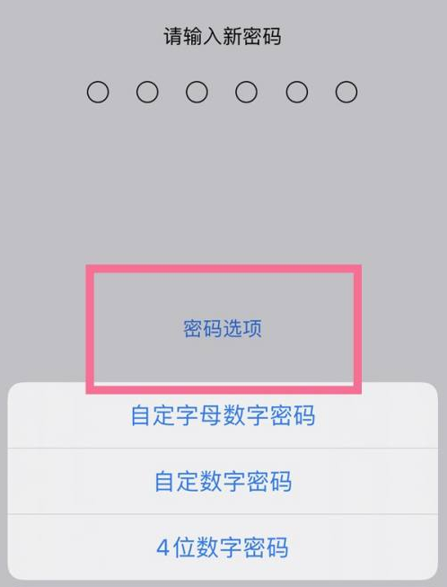 瑞丽苹果14维修分享iPhone 14plus设置密码的方法 