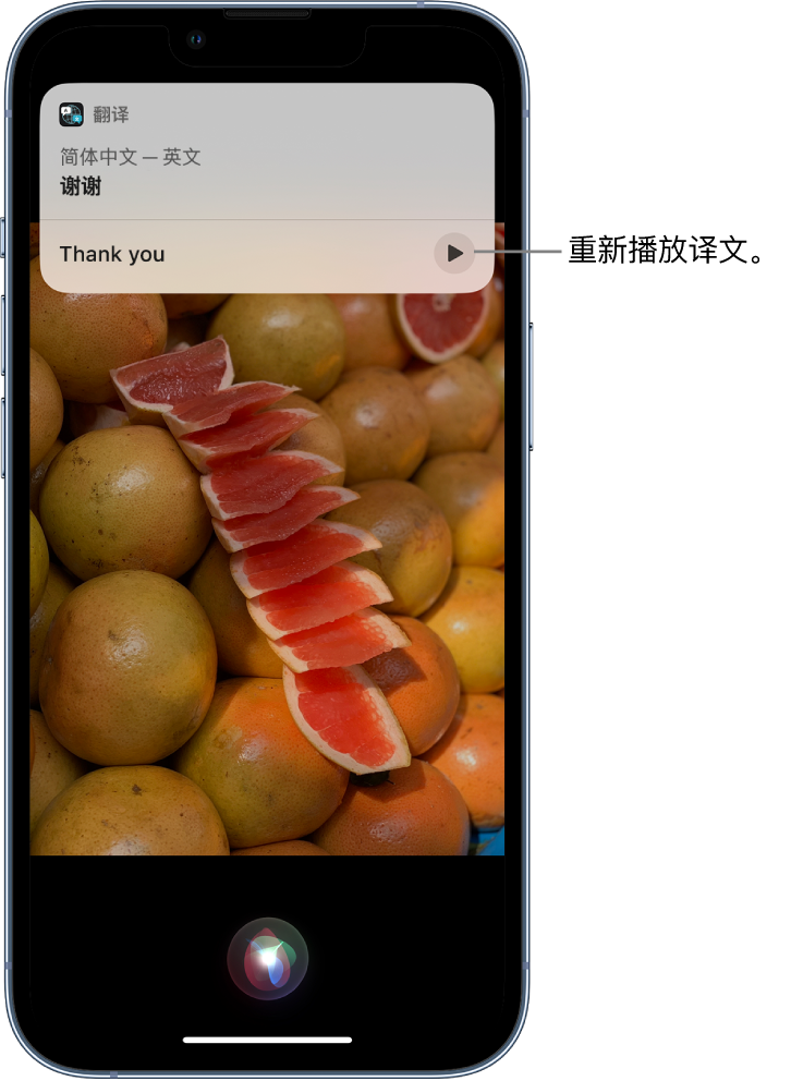 瑞丽苹果14维修分享 iPhone 14 机型中使用 Siri：了解 Siri 能帮你做什么 